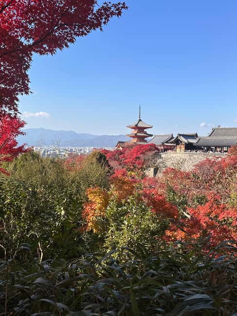 Kyoto: Kiyomizudera, Sanjusangendo, Kodaiji, and Gion. - Kiyomizudera and the hillside terrace views