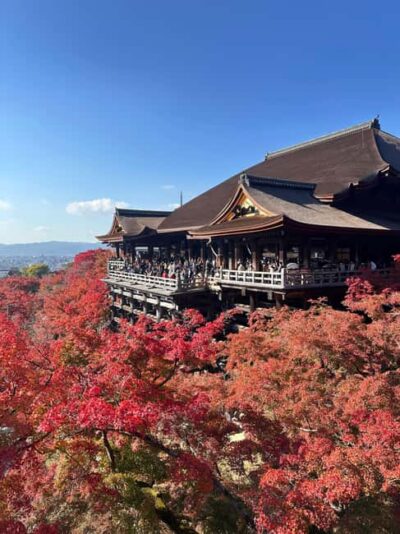 Kyoto: Kiyomizudera, Sanjusangendo, Kodaiji, and Gion. - Sanjusangendo’s 1,001 Kannon: the day’s big punch