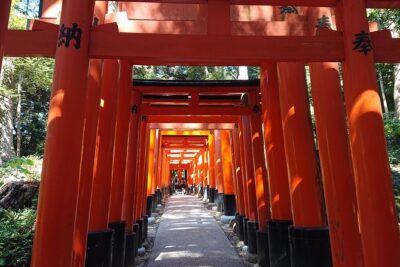 Kyoto Lazy Bird Walking Tour - Price and what’s included in this private half-day