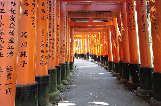 Kyoto Lazy Bird Walking Tour - Arashiyama Bamboo Grove: the hour that smells like shade