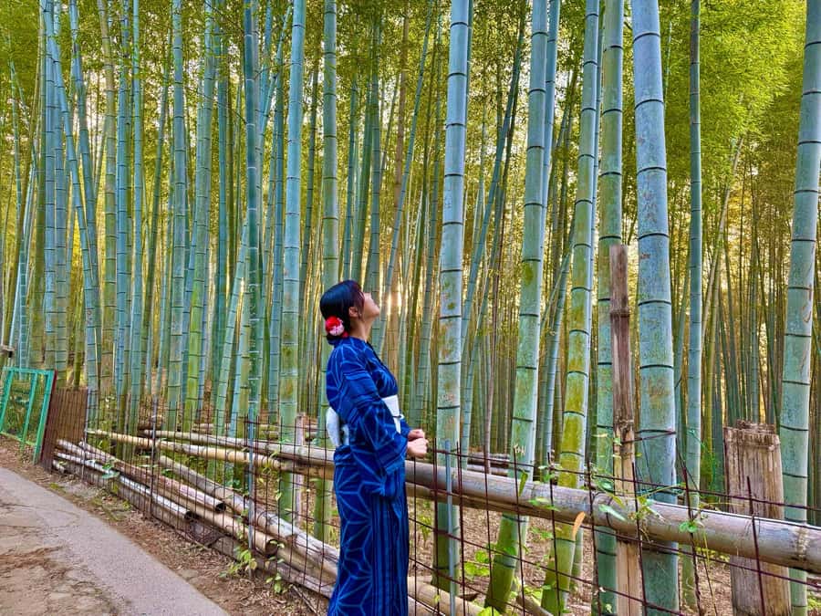 Kyoto Morning Highlights Tour: Fushimi, Kiyomizu-dera & Gion - Price and logistics: is $81 actually good value?