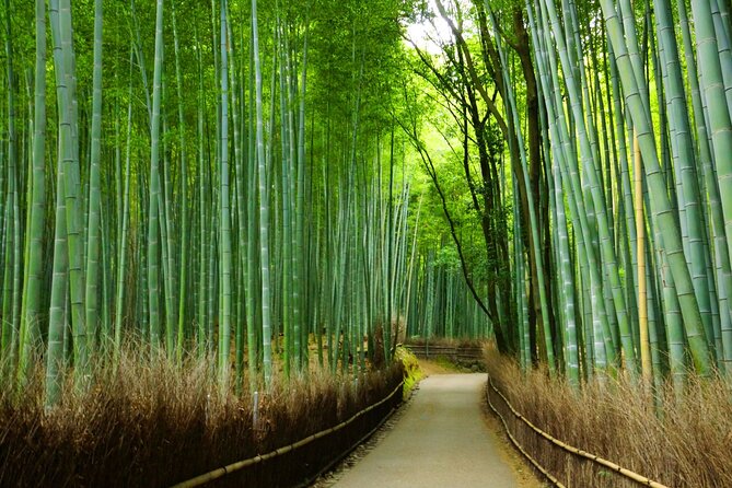 Kyoto Morning Tour with English Speaking Guide - What to Bring for a Comfortable Kyoto Morning