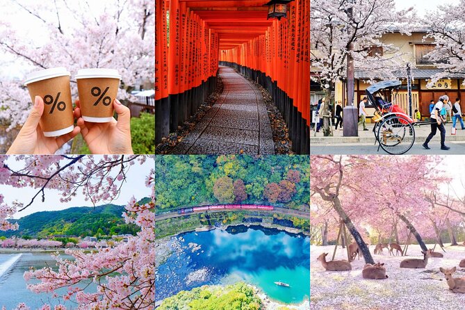 Kyoto-Nara Adventures Private Tour With Hotel Pick Up - Key Highlights Worth Your Attention
