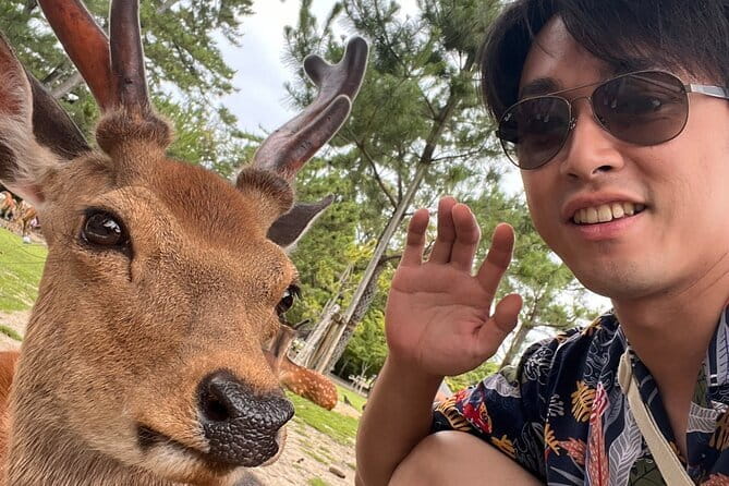 Kyoto & Nara Day Tour: Golden Pavilion, Fushimi Inari & Deer Park - Fushimi Inari Taisha: thousands of torii and the halfway view payoff