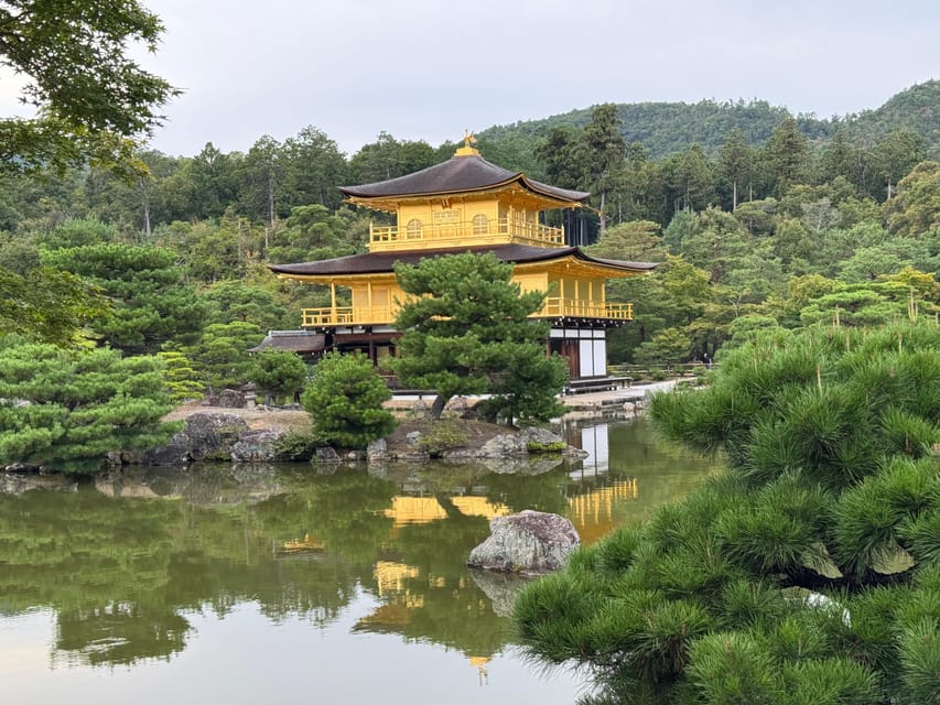 Kyoto & Nara Full Day Customised Tour - Nara Park and Todai-ji: Big Atmosphere, Easy Photo Wins