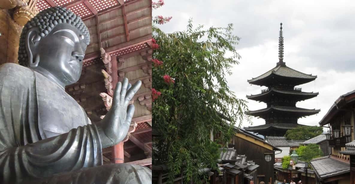 KYOTO-NARA: Giant Buddha Deer Pagoda "Geisya" (Italian, full day) - Key Takeaways Before You Go