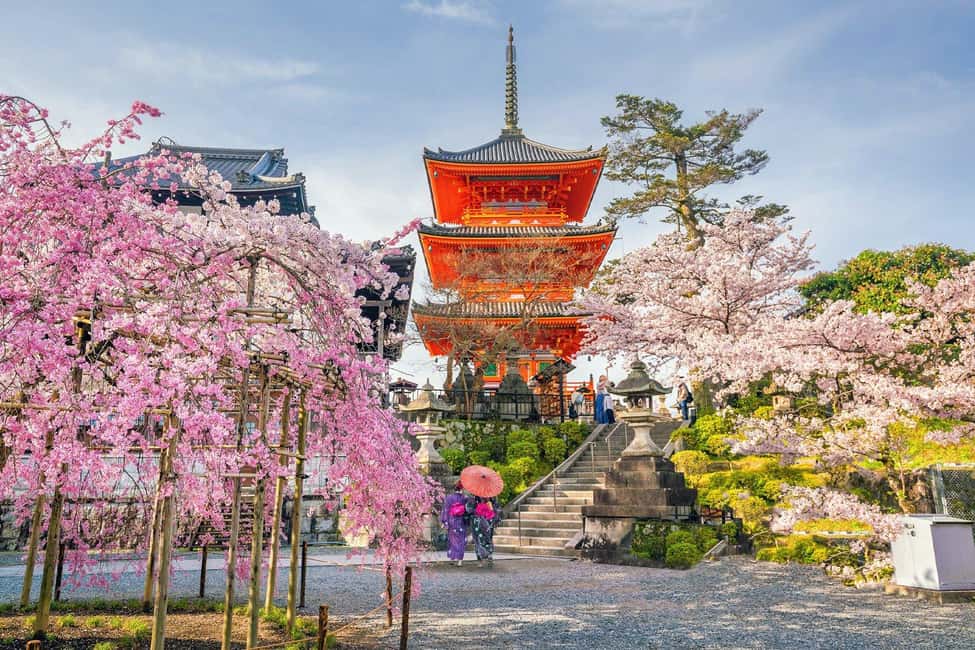 Kyoto & Nara Private Customized, Guided Tour - A One-Day Plan That Actually Makes Sense for Kyoto, Nara, and Osaka