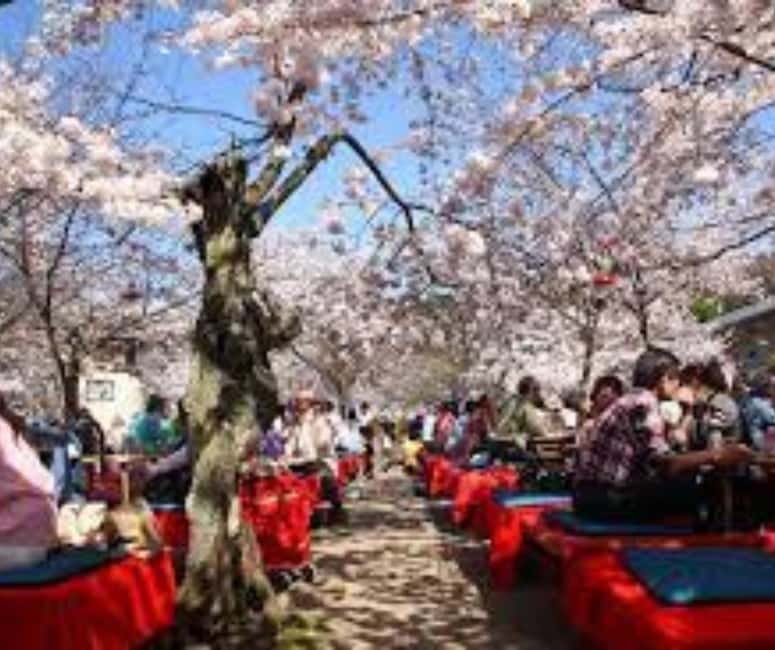 Kyoto & Nara Private Customized, Guided Tour - Who This Tour Is Best For