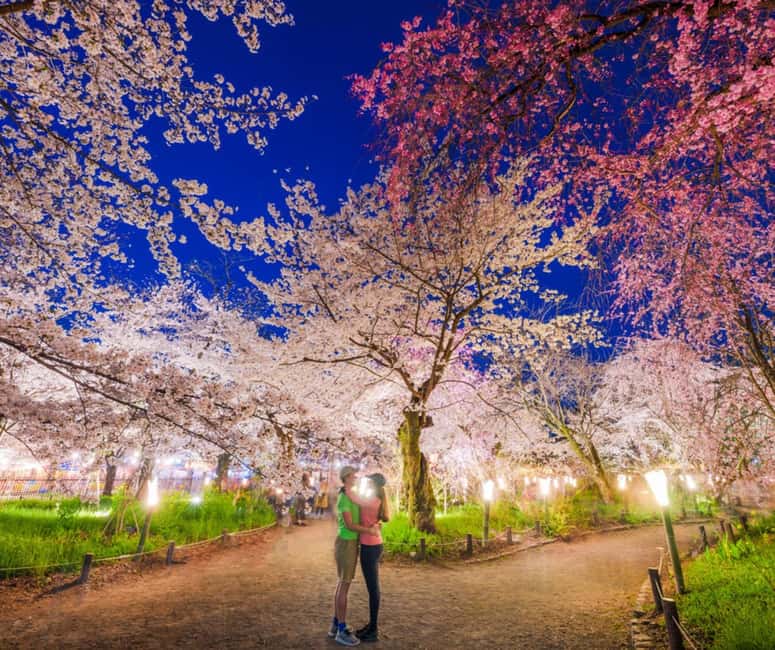 Kyoto & Nara Private Customized, Guided Tour - Practical Details That Make or Break the Day