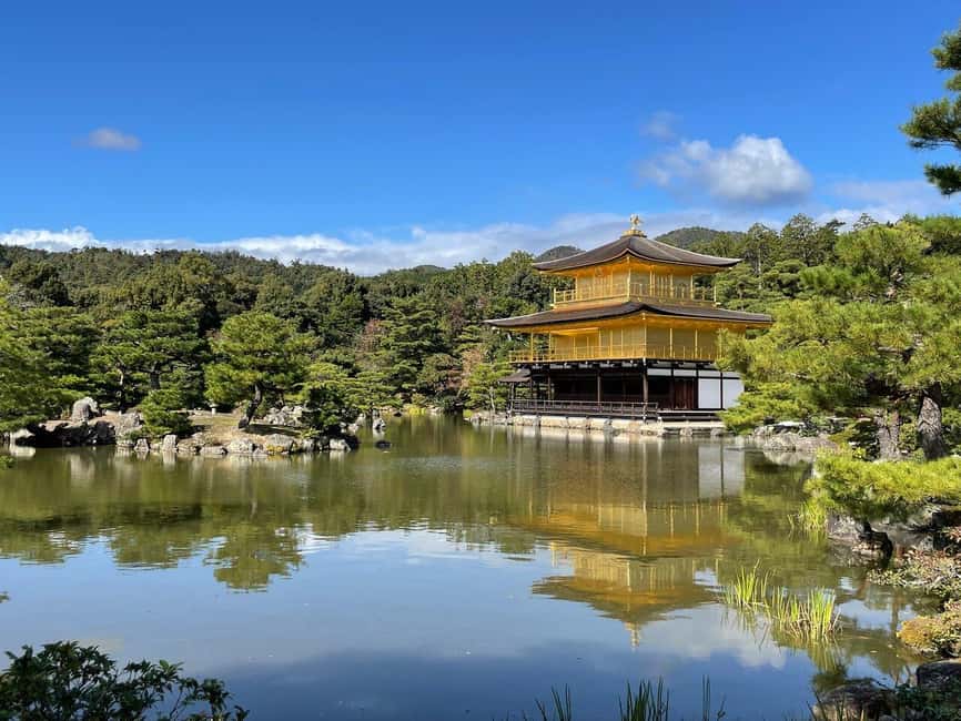 Kyoto & Nara Private Customized, Guided Tour - Price and Logistics: What You’re Paying For