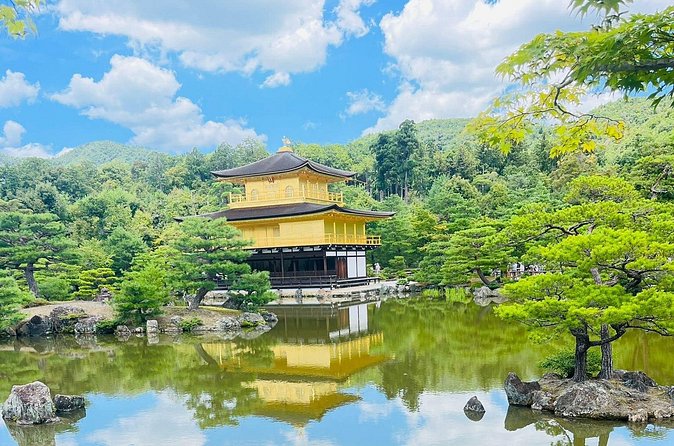 Kyoto & Nara: Private Day Tour by luxury Vehicle & English Guide - Nara Park and deer: where the day turns playful