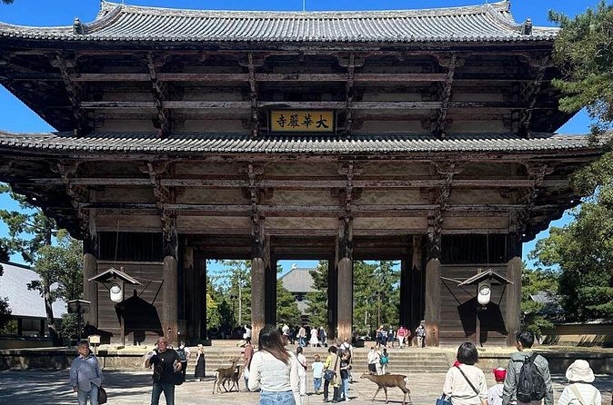 Kyoto & Nara: Private Day Tour by luxury Vehicle & English Guide - Fushimi Inari-taisha: the torii walk, explained and timed