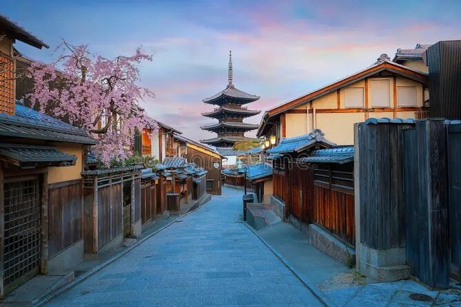 Kyoto & Nara: Private Day Tour by luxury Vehicle & English Guide - Price and value: what $323.42 per group really covers