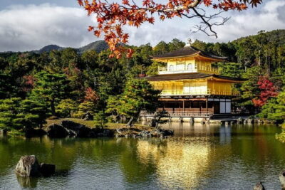 Kyoto & Nara Private Tour from Osaka Kyoto Hotel Pick-up - Hotel Pickup, Private Van, and a Day That Starts Tired—But Not Confused