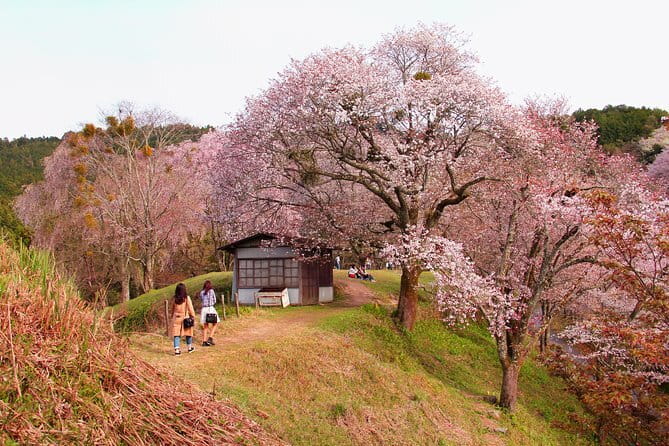 Kyoto & Nara Private Tour from Osaka Kyoto Hotel Pick-up - Stop 4: Arashiyama Kimono Forest at Arashiyama Station