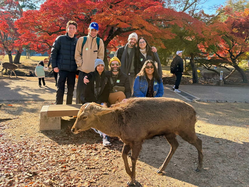 Kyoto: Nara & Traditional Matcha Experience Bus Tour - Todaiji Temple’s Daibutsuden: the wooden giant you’ll want to see slowly