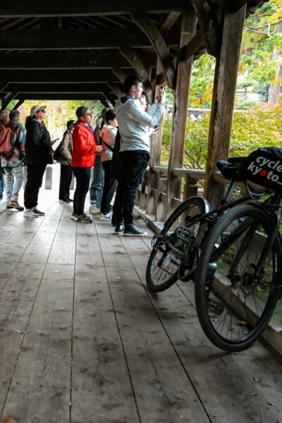 Kyoto: North Kyoto Guided Cycling Tour with Lunch - Starting Near Kyoto Station: Simple Meeting, Real Momentum