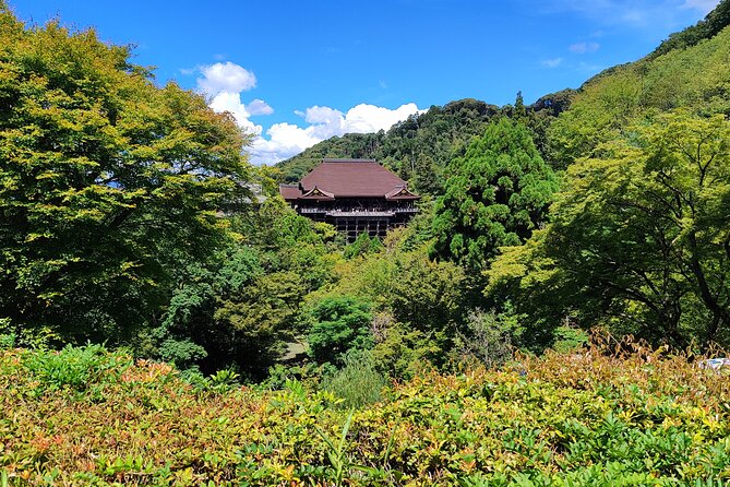 Kyoto Off The Beaten Path: Hidden Zen Garden & Magical Shrine - Getting your body and schedule ready for the walk