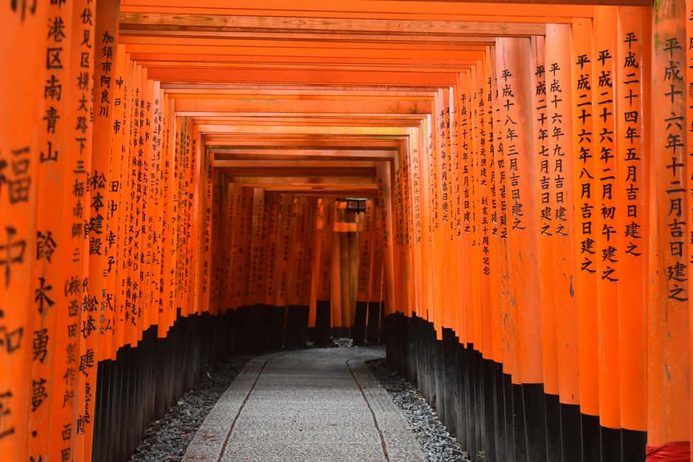 Kyoto/Osaka: Kyoto&Nara Customized Private Highlights Tour - Key things to love about this Kyoto and Nara highlights day