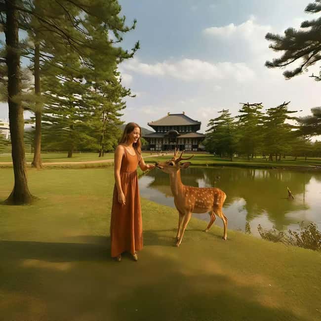 Kyoto/Osaka: Kyoto&Nara Customized Private Highlights Tour - Price and value: what $441 per group really means in practice