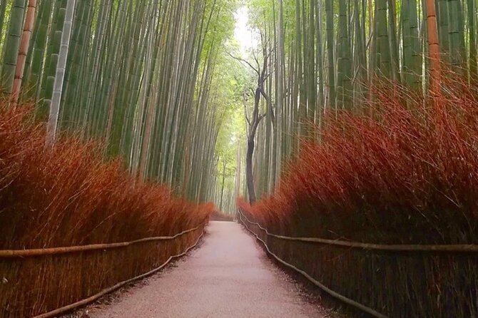 Kyoto, Osaka, Nara Full Day tour by Car English speaking Driver - Fushimi Inari Taisha: torii gates, stairs, and the best kind of walking workout