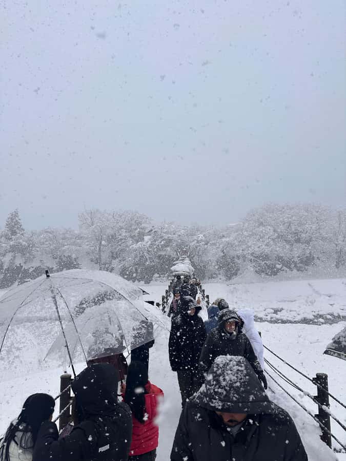 Kyoto/Osaka/Nara Private Customized Tour with Guide - Nara Park deer feeding and Todai-ji’s Great Buddha
