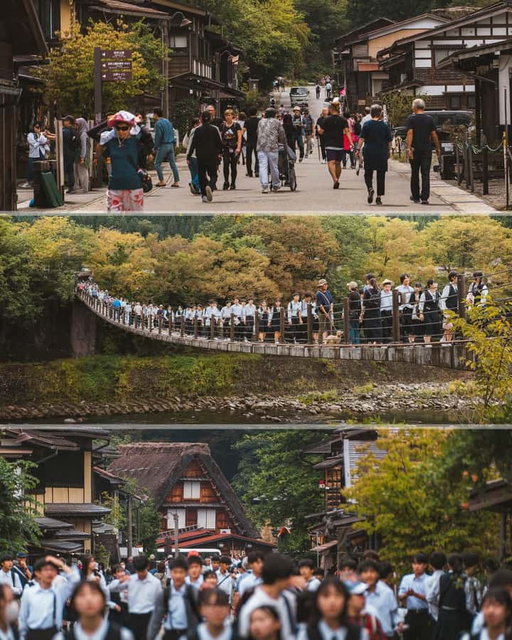 Kyoto/Osaka/Nara Private Customized Tour with Guide - Price, comfort, and guide quality for groups up to 6
