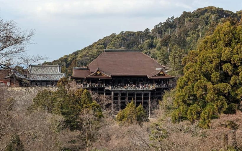 Kyoto: Personalize, private tour (3h, 5h, 8h) [W/Car Option] - Practical tips so you enjoy the day (instead of rushing it)