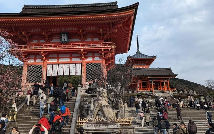 Kyoto: Personalize, private tour (3h, 5h, 8h) [W/Car Option] - Unscripted Kyoto: why this style feels different