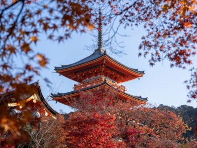 Kyoto: Personalized Guided Private Tour - Fushimi Inari and the torii gates: the walk you don’t forget