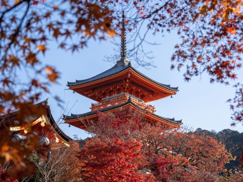 Kyoto: Personalized Guided Private Tour - Fushimi Inari and the torii gates: the walk you don’t forget