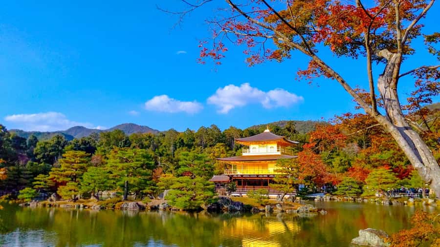 Kyoto: Private Customizable Day Trip by Car - Why a private Kyoto car beats buses and trains