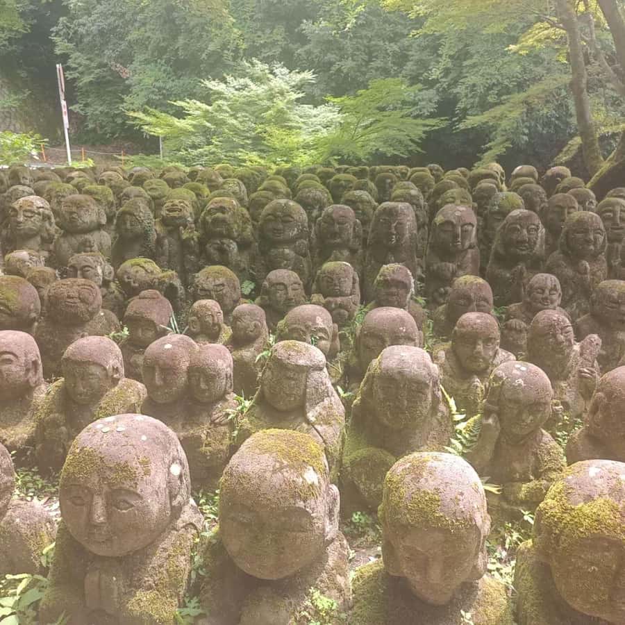 Kyoto: Private Customizable Day Trip by Car - Arashiyama (about 1.5 hours): start with scenery and walk energy