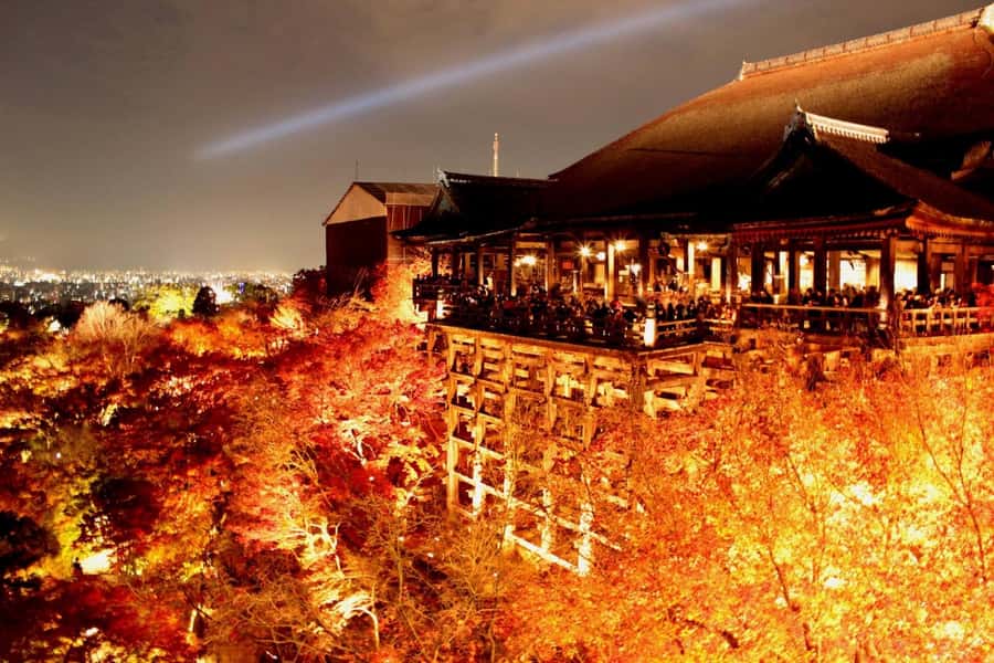 Kyoto: Private Customizable Day Trip by Car - How customization actually works on a day like this