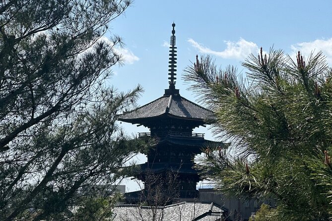 Kyoto Private Customizable Day Trip With English chauffeur - The value question: is $431.20 per group worth it?