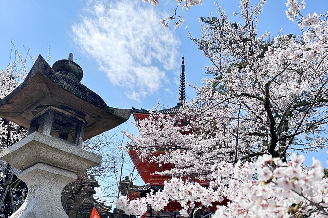 Kyoto Private Customizable Day Trip With English chauffeur - Arashiyama: Bamboo Grove vibes without the transportation headache