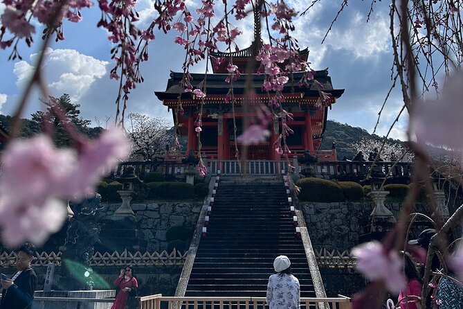 Kyoto Private Customizable Day Trip With English chauffeur - Golden Pavilion (Kinkaku-ji) in a tight 30 minutes