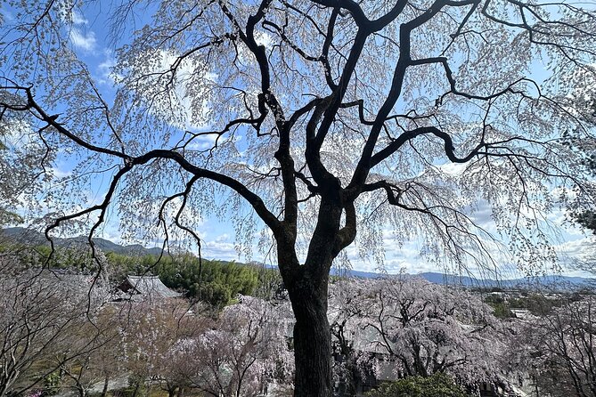 Kyoto Private Customizable Day Trip With English chauffeur - Kyoto Imperial Palace gardens: elegant pacing, short visit
