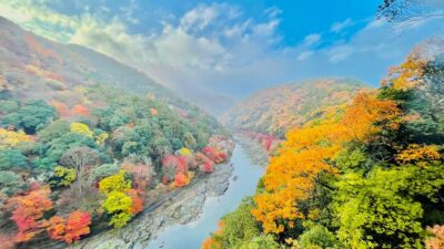 Kyoto: Private Customizable Guided tour with Luxury Vehicle - The luxury van does real work (especially when weather turns)
