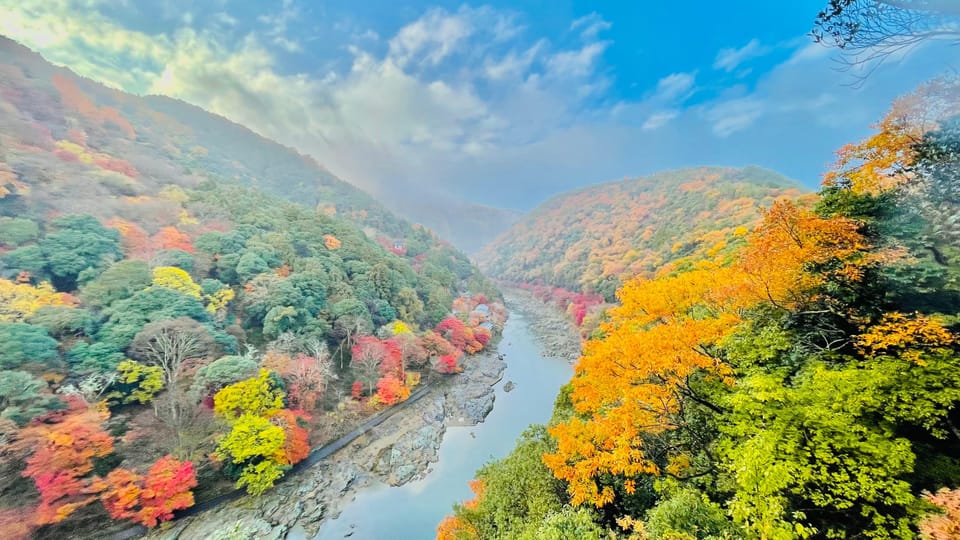 Kyoto: Private Customizable Guided tour with Luxury Vehicle - The luxury van does real work (especially when weather turns)