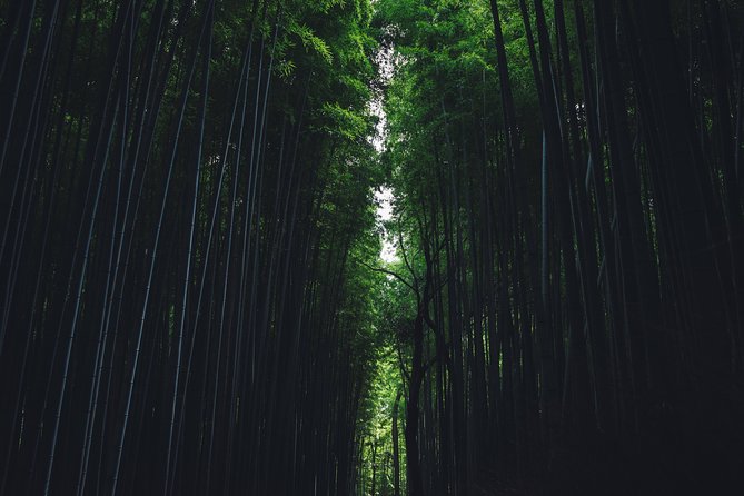 Kyoto Private Customizable Half Day Tour - Fushimi Inari Taisha: Starting at the Head Shrine for Big-Theme Kyoto