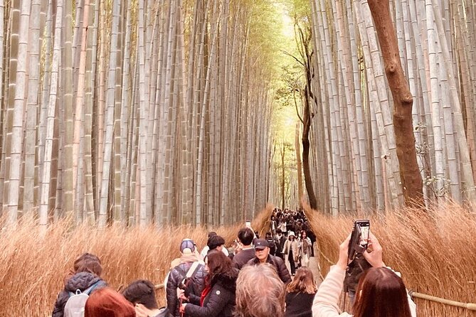 Kyoto Private & Customizable Tour with English-Speaking Driver - Why this Kyoto private tour feels easier than a fixed bus day