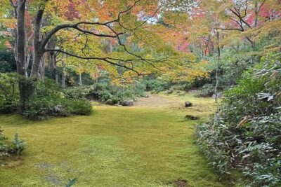 Kyoto Private & Customizable Tour with English-Speaking Driver - Arashiyama bamboo: serene walking time without the stress