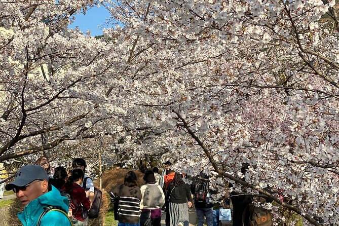 Kyoto Private & Customizable Tour with English-Speaking Driver - Kiyomizu-dera: stage views and the Otowa Waterfall you should plan around