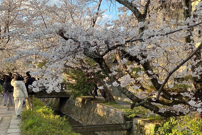 Kyoto Private & Customizable Tour with English-Speaking Driver - Fushimi Inari-taisha: red torii gates and a shrine climb that feels different each time