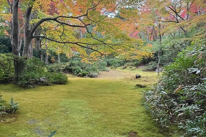 Kyoto Private & Customizable Tour with English-Speaking Driver - Arashiyama bamboo: serene walking time without the stress