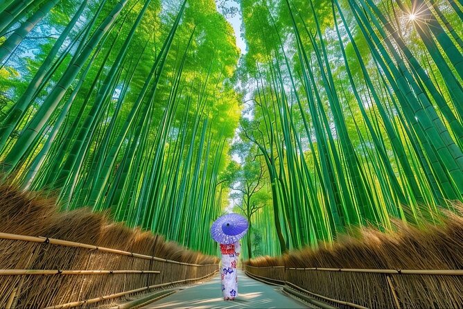 Kyoto Private Customized Day Tour with Guide - Key things I’d plan around