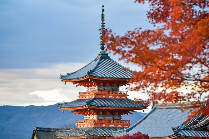 Kyoto Private Customized Day Tour with Guide - Start at 8:00 and Skip the Kyoto Transit Maze