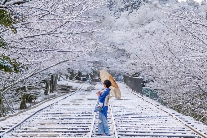 Kyoto Private Customized Day Tour with Guide - Hotel Pickup, Private Car, and a Guide Who Keeps the Day Moving