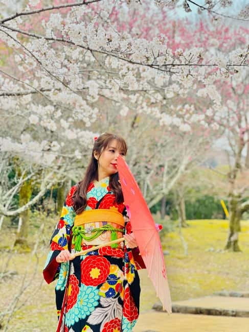 Kyoto: Private Customized Tour With English Speaking Guide - Gion: preserved streets, quieter lanes, and geisha-district atmosphere